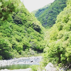 武庫川渓谷その1