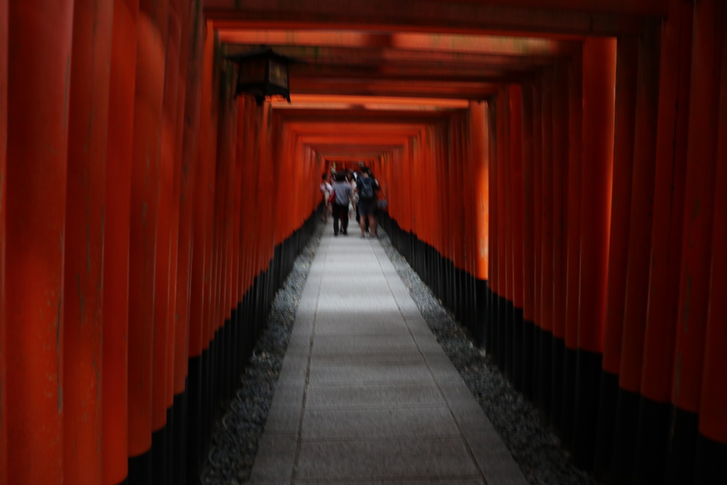 道合神社.千鳥居內部