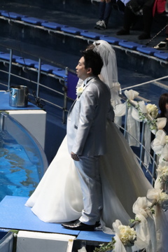 品川水族館：新人結婚