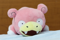 隨手拍攝(呆呆獸)