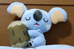 隨手拍攝(樹枕尾熊)