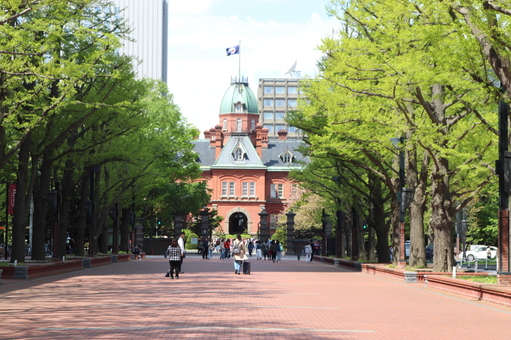 札幌 . 北海道廳舊本廳！