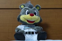 隨手拍攝(火推隊吉祥物 B . B)