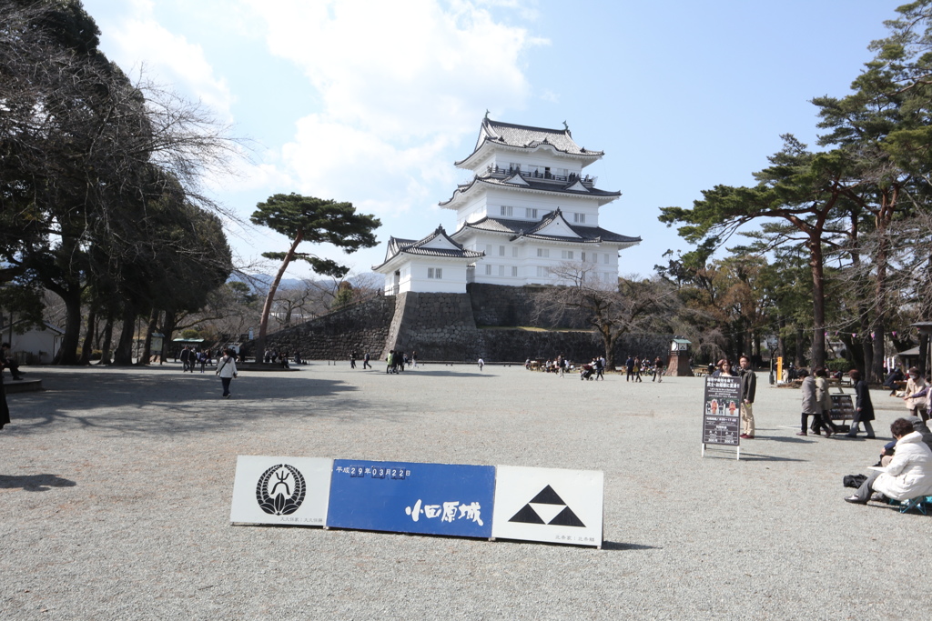 小田原城(正面)