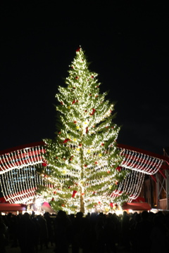 港未來：紅磚倉庫聖誕市集 .聖誕樹