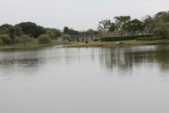 台南都會公園湖面