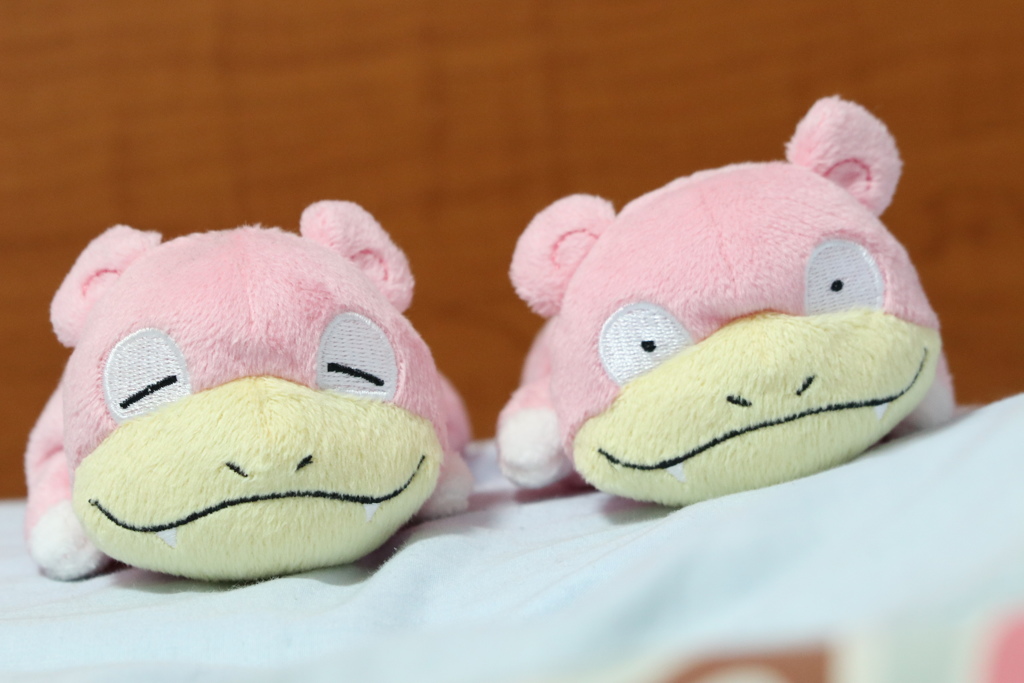 隨手拍攝(呆呆獸)