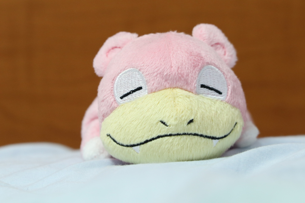 隨手拍攝(呆呆獸)