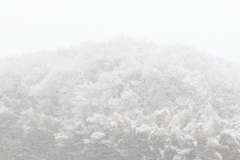 被雪覆蓋的小山