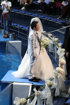 品川水族館：新人結婚