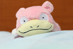 隨手拍攝(呆呆獸)