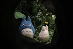吉卜力動畫世界特展(龍貓)