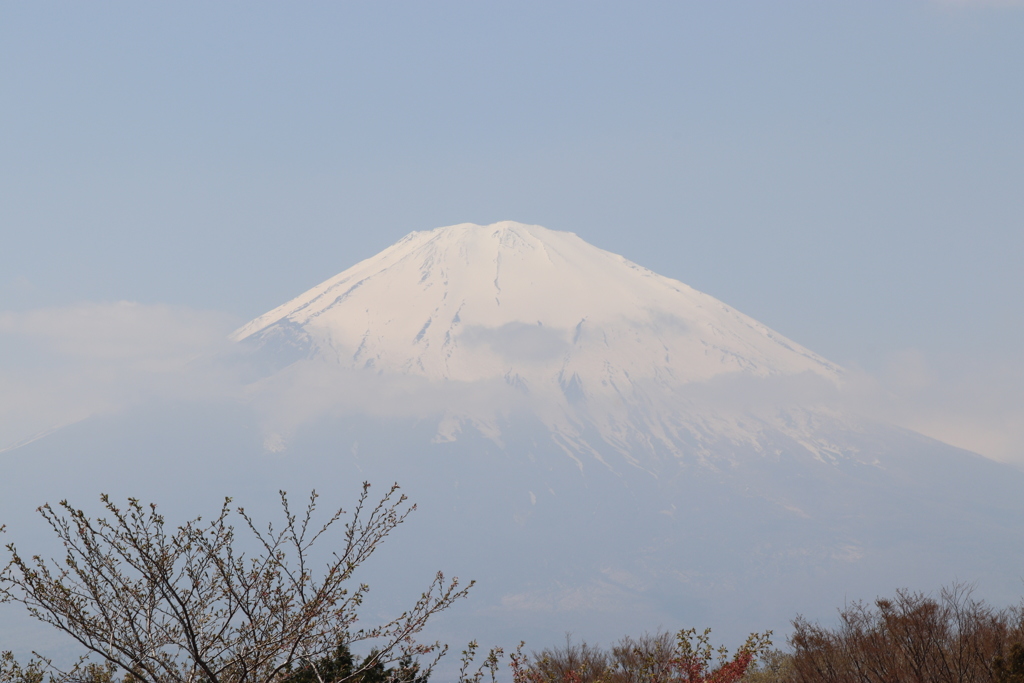 富士山