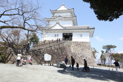 小田原城(側面入口)