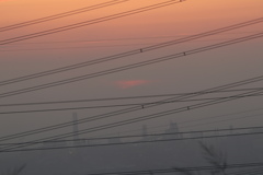 黃昏夕陽落下