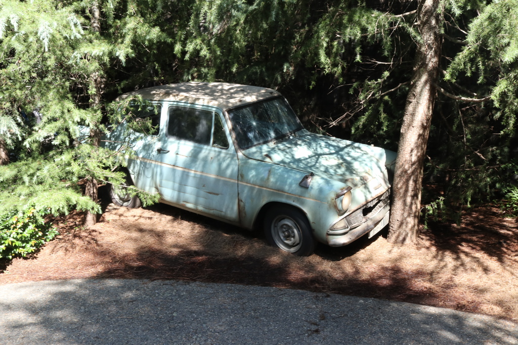 USJ哈利波特.魔法飛車