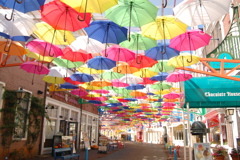 umbrella in early summer