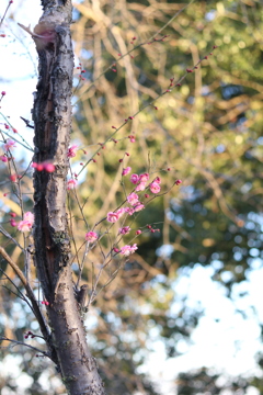 20170204164242_IMG_9896