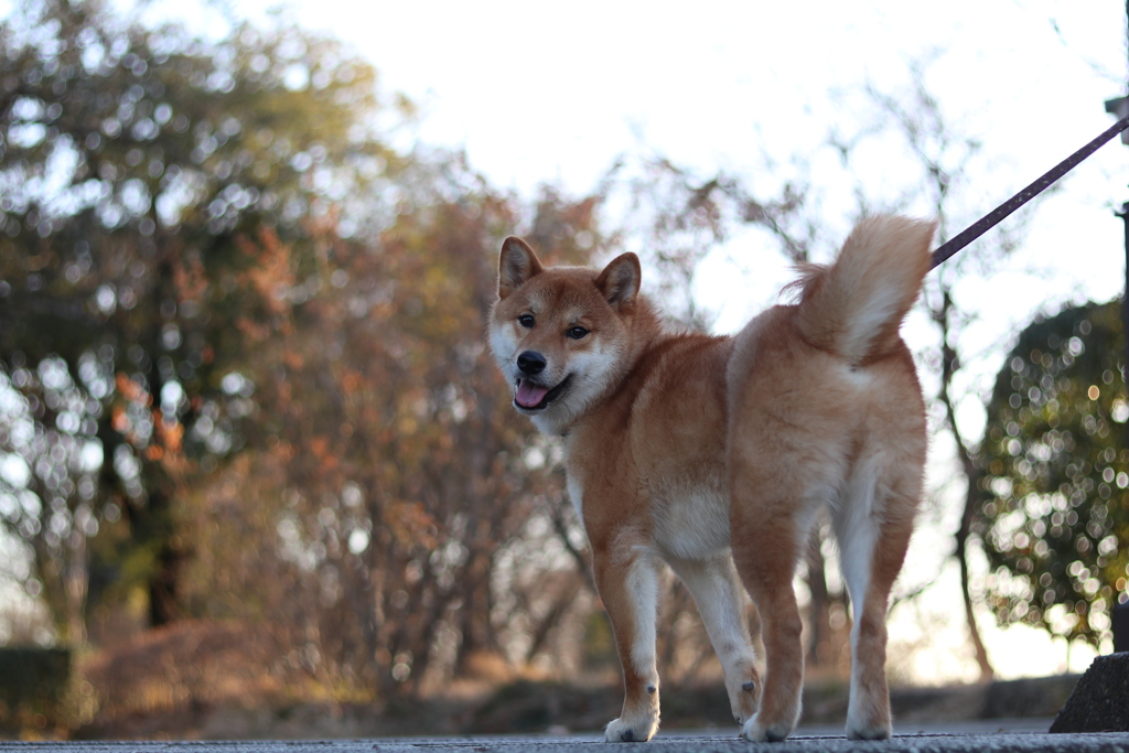 20170204163315_IMG_9860