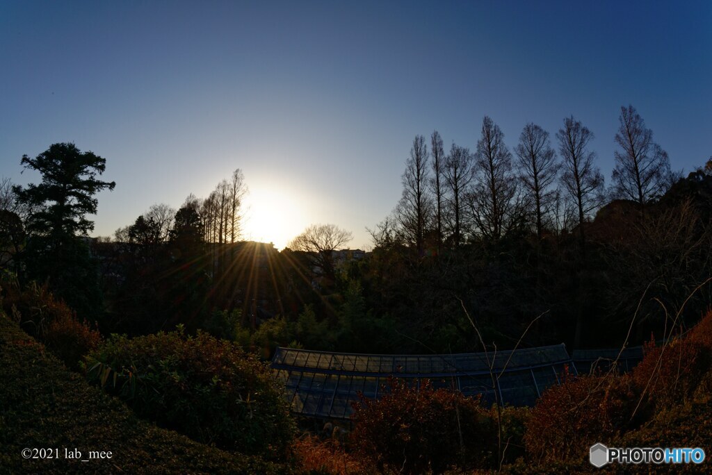 植物園の閉園時間ころ