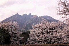 阿蘇根子岳