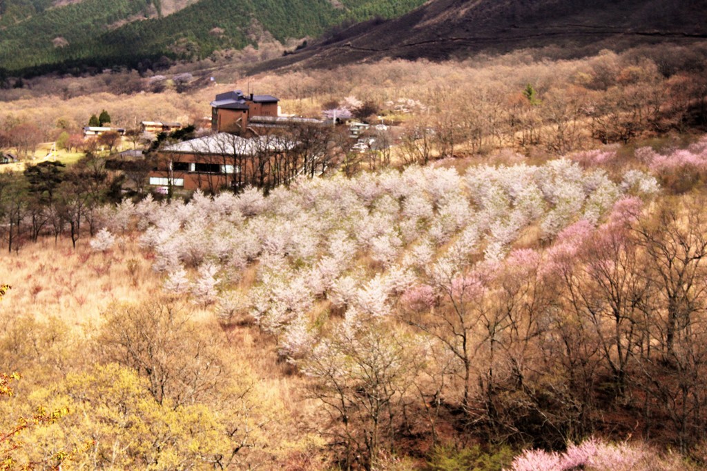 阿蘇俵山