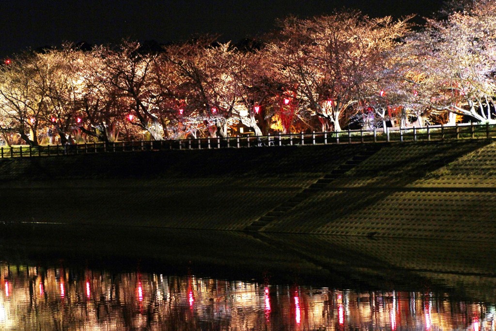 立岡池公園２