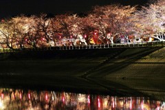 立岡池公園２