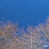 青空