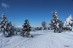 たかつえスキー場　山頂より７