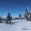 たかつえスキー場　山頂より７
