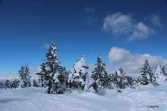 たかつえスキー場　山頂より８