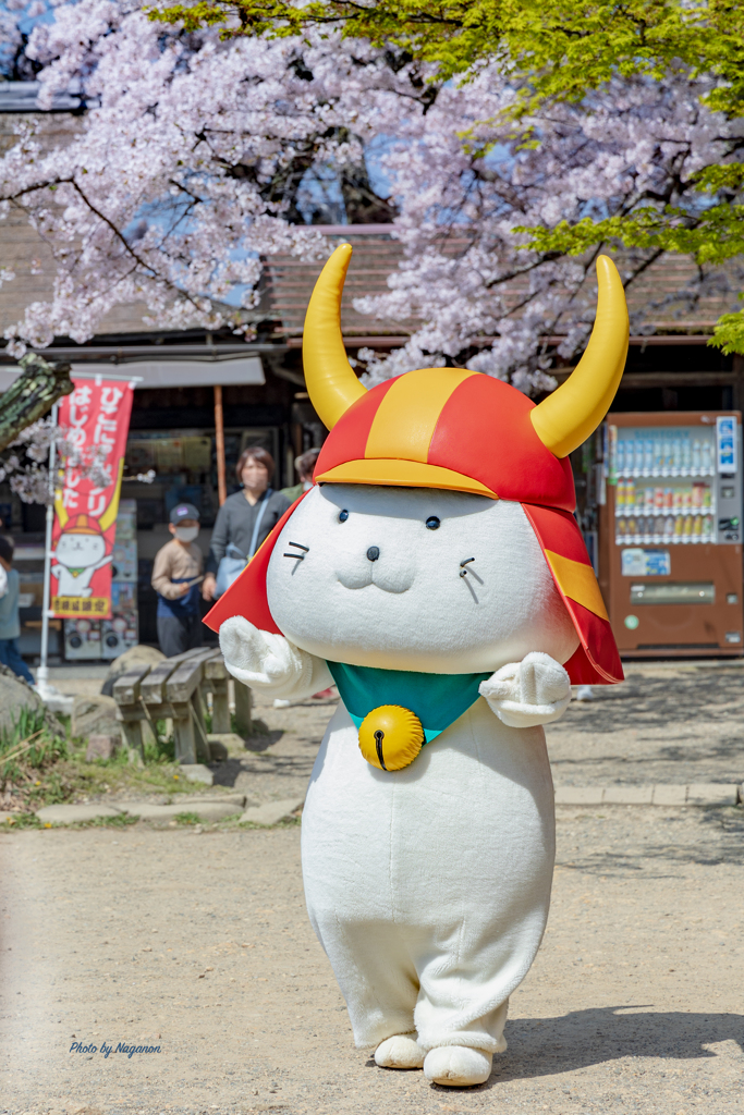 ご当地ゆるキャラ参上❗️☆〜（ゝ。∂）
