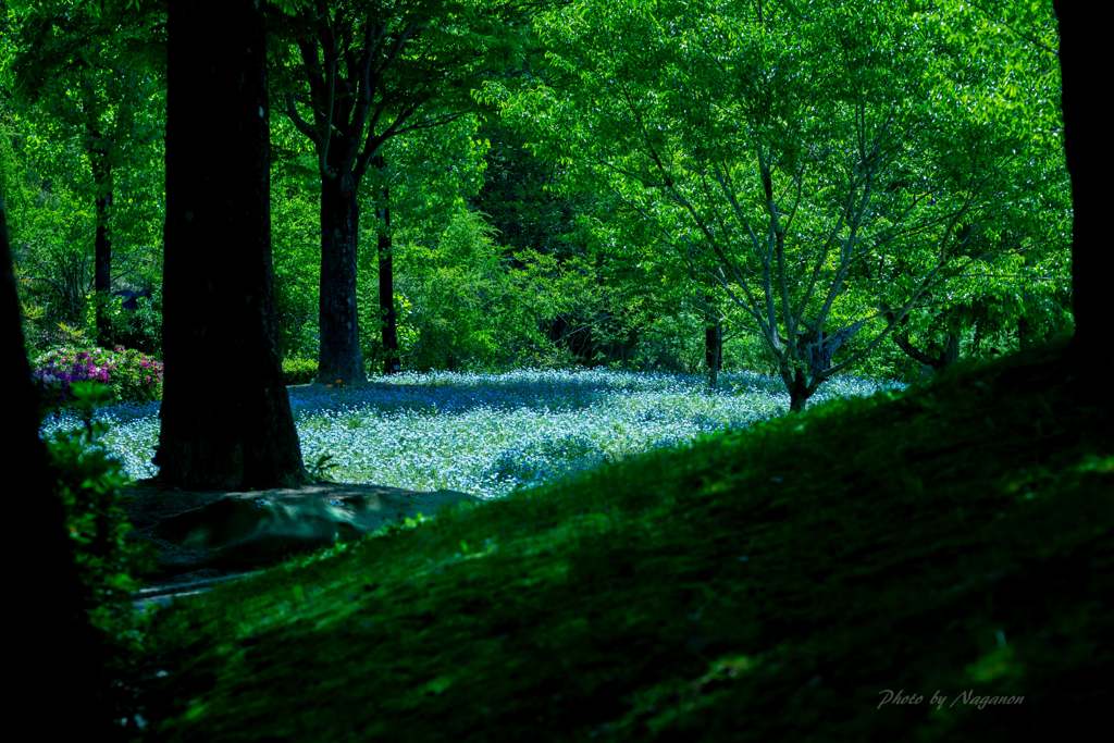 癒しの光景♪