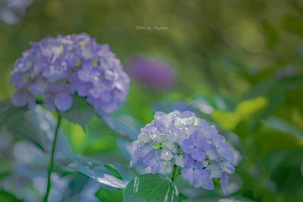 心のままに✨