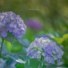 心のままに✨