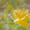 vitamin color♪