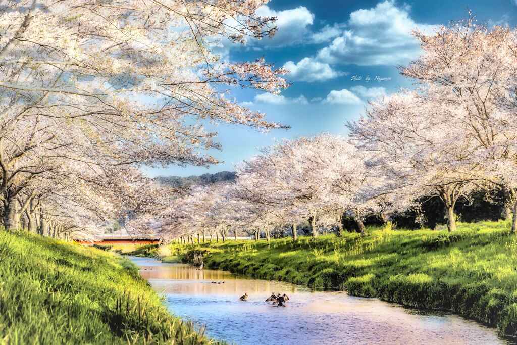 それぞれの朝☀