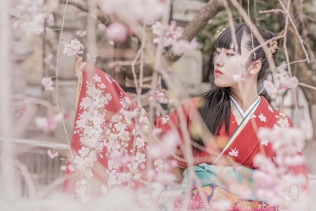 花包み♪