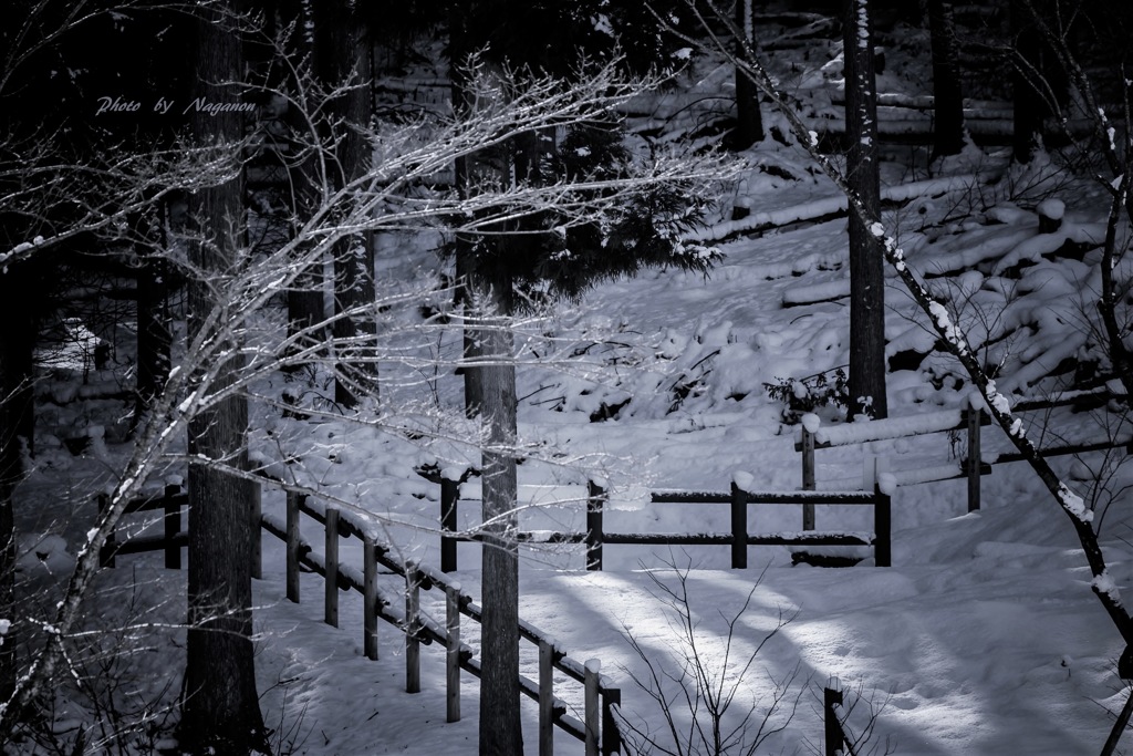 春よ来い✨
