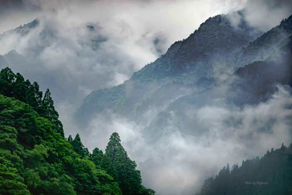 幻想の山霧