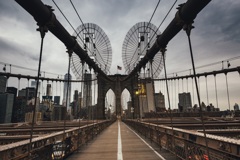 NY Life