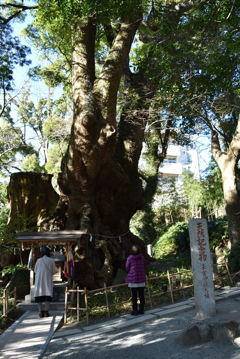 来宮神社
