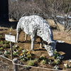 一夜城 Yoroizuka Farm