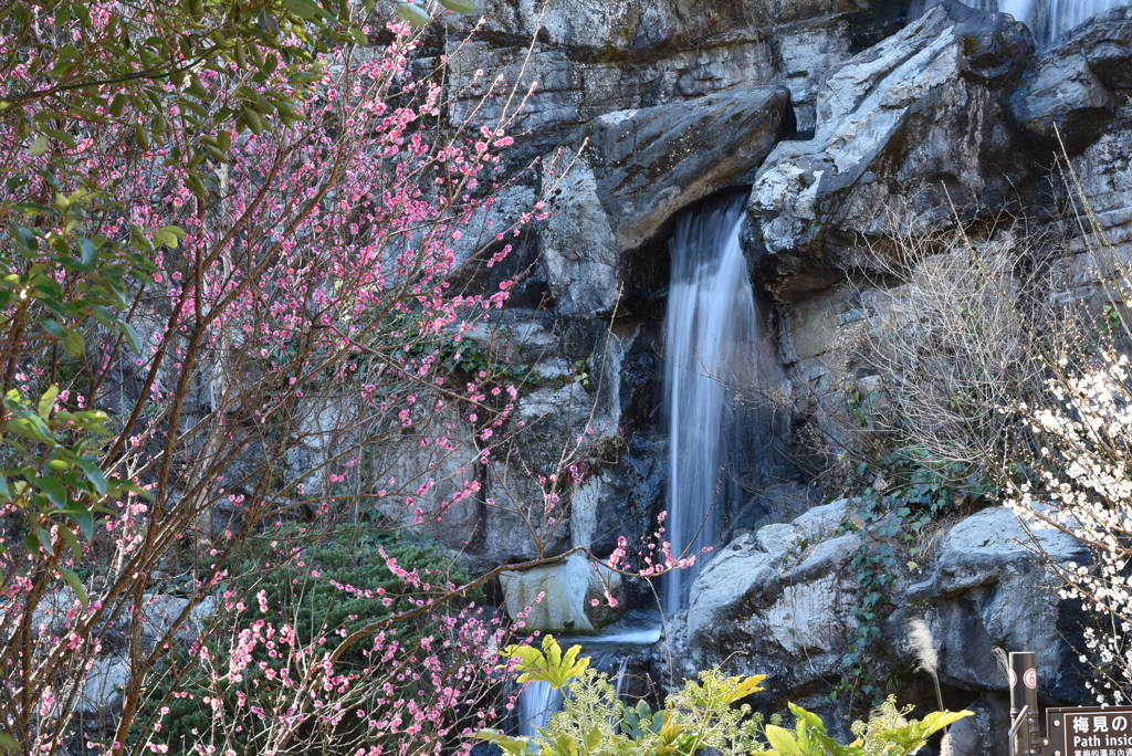 熱海　梅園　滝