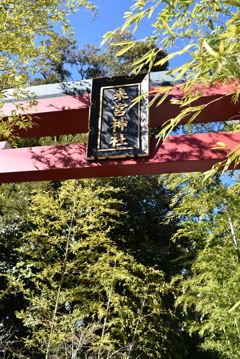 来宮神社　鳥居