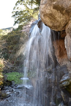 熱海　梅園　滝　（糸？）