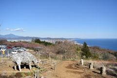 一夜城 Yoroizuka Farm