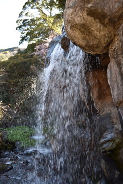 熱海　梅園　滝　（水玉？）