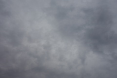 DSC00113